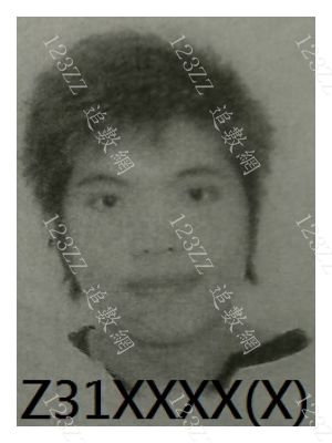 Case no.1029