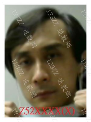 Case no.3228